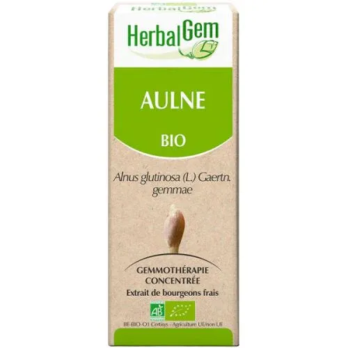 Aulne Bio - Extrait de Bourgeons Frais 30 ml | HerbalGem