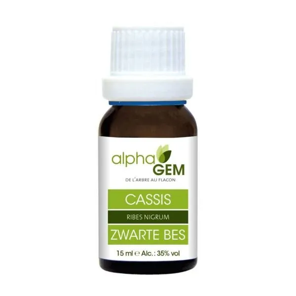Cassis Bio - 15 ml - Alphagem