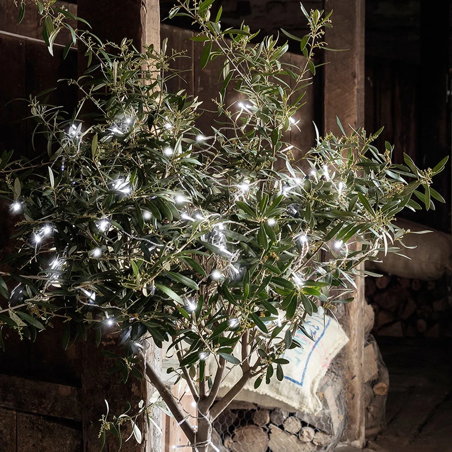 Guirlande Lumineuse à Piles 100 LED Blanches sur Câble Transparent – Image 3