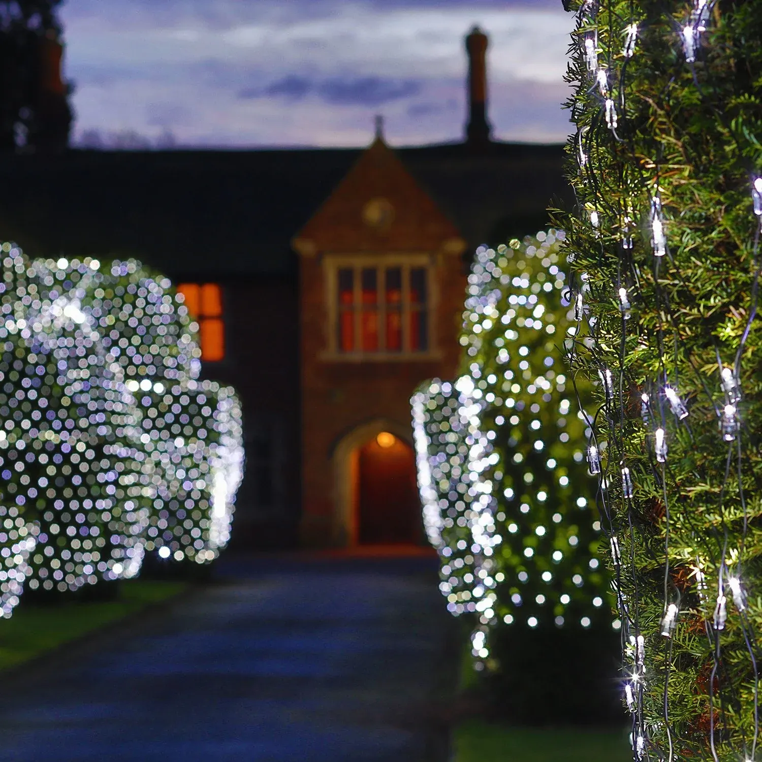 Filet Lumineux Core Connect 4m x 2m 280 LED Blanche Câble Vert Raccordable – Image 2