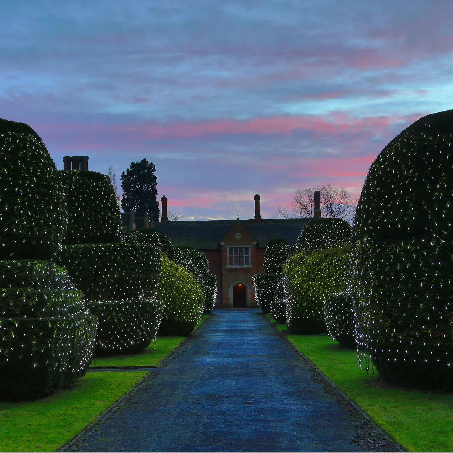 Filet Lumineux Core Connect 2m x 2m 140 LED Blanche Câble Vert Raccordable – Image 4