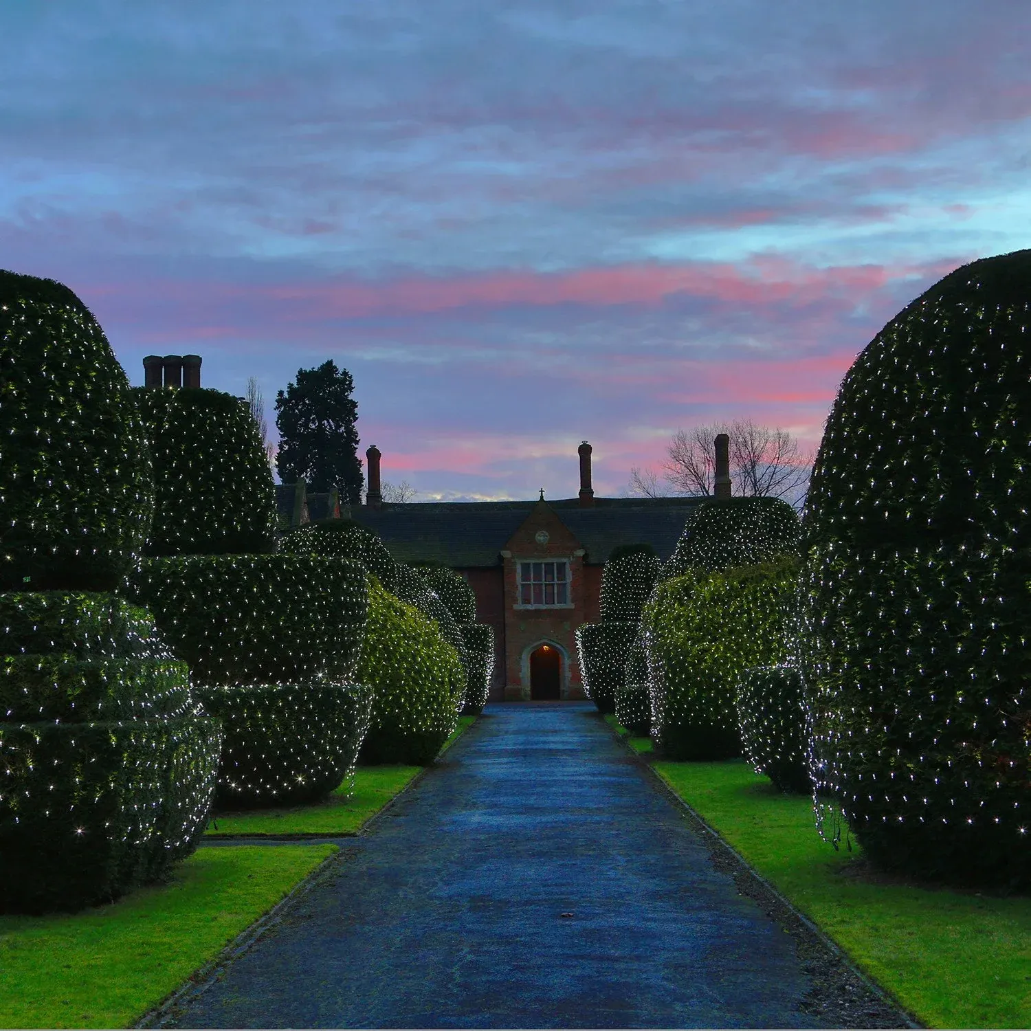 Filet Lumineux Core Connect 4m x 2m 280 LED Blanche Câble Vert Raccordable – Image 4