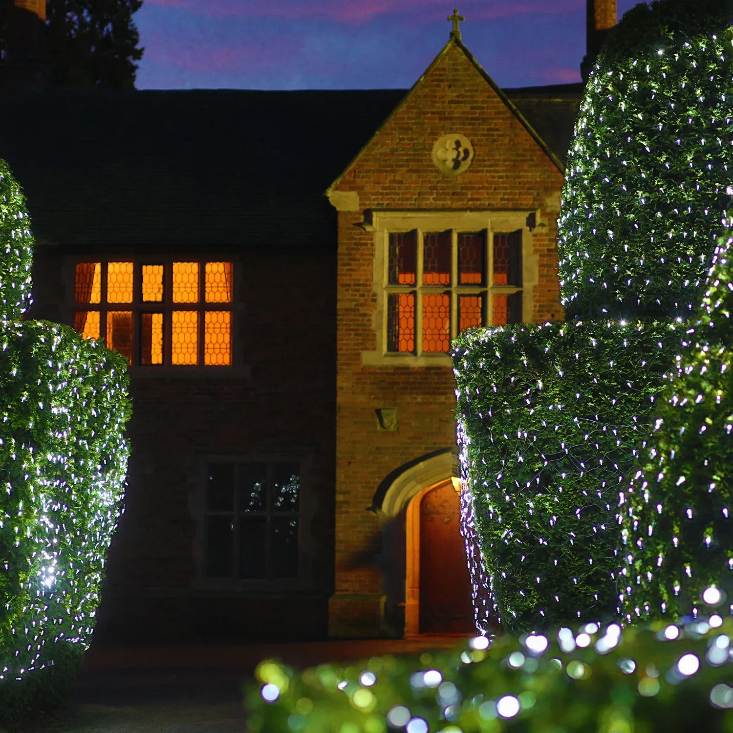 Filet Lumineux Core Connect 2m x 2m 140 LED Blanche Câble Vert Raccordable – Image 5