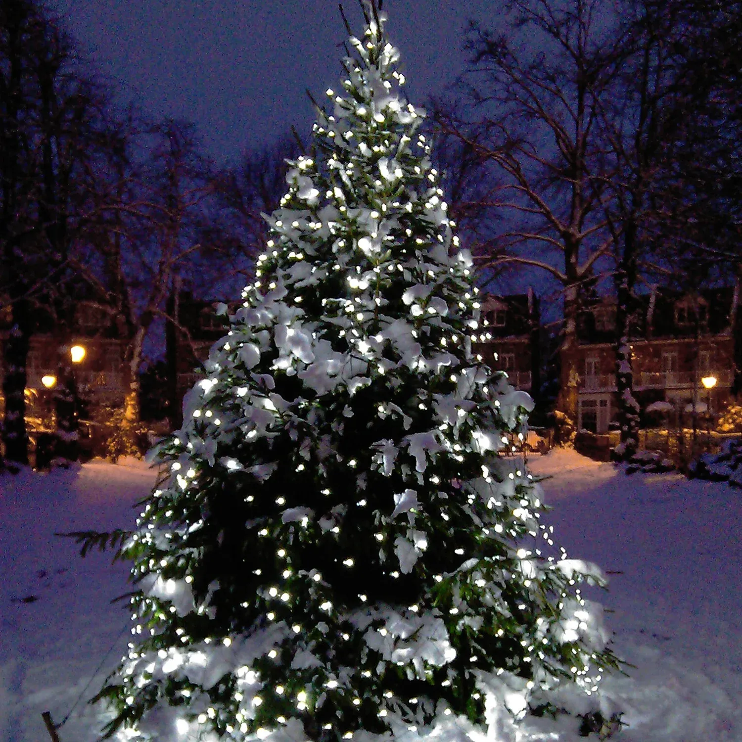 Filet Lumineux Core Connect 2m x 2m 140 LED Blanche Câble Vert Raccordable – Image 7