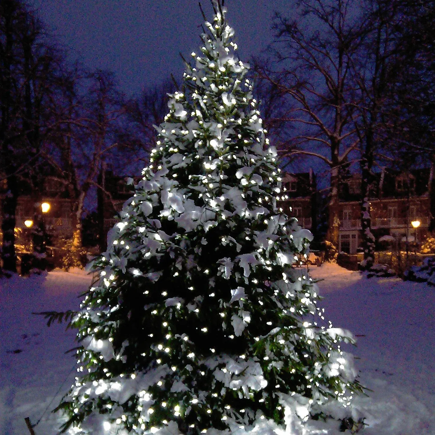 Filet Lumineux Core Connect 4m x 2m 280 LED Blanche Câble Vert Raccordable – Image 7