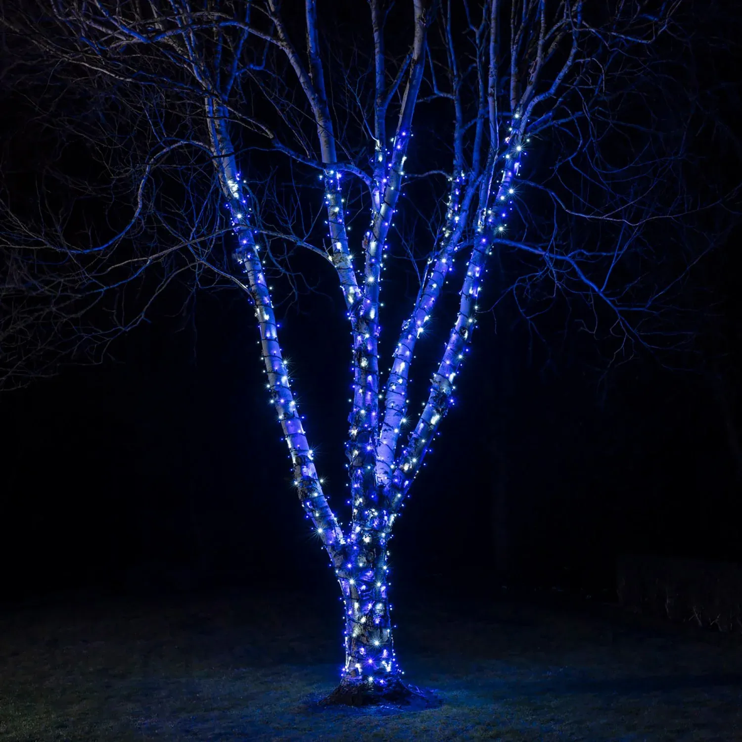 Guirlande Lumineuse Pro Connect 165m 1650 LED Bleue et Blanche Câble Noir Raccordable