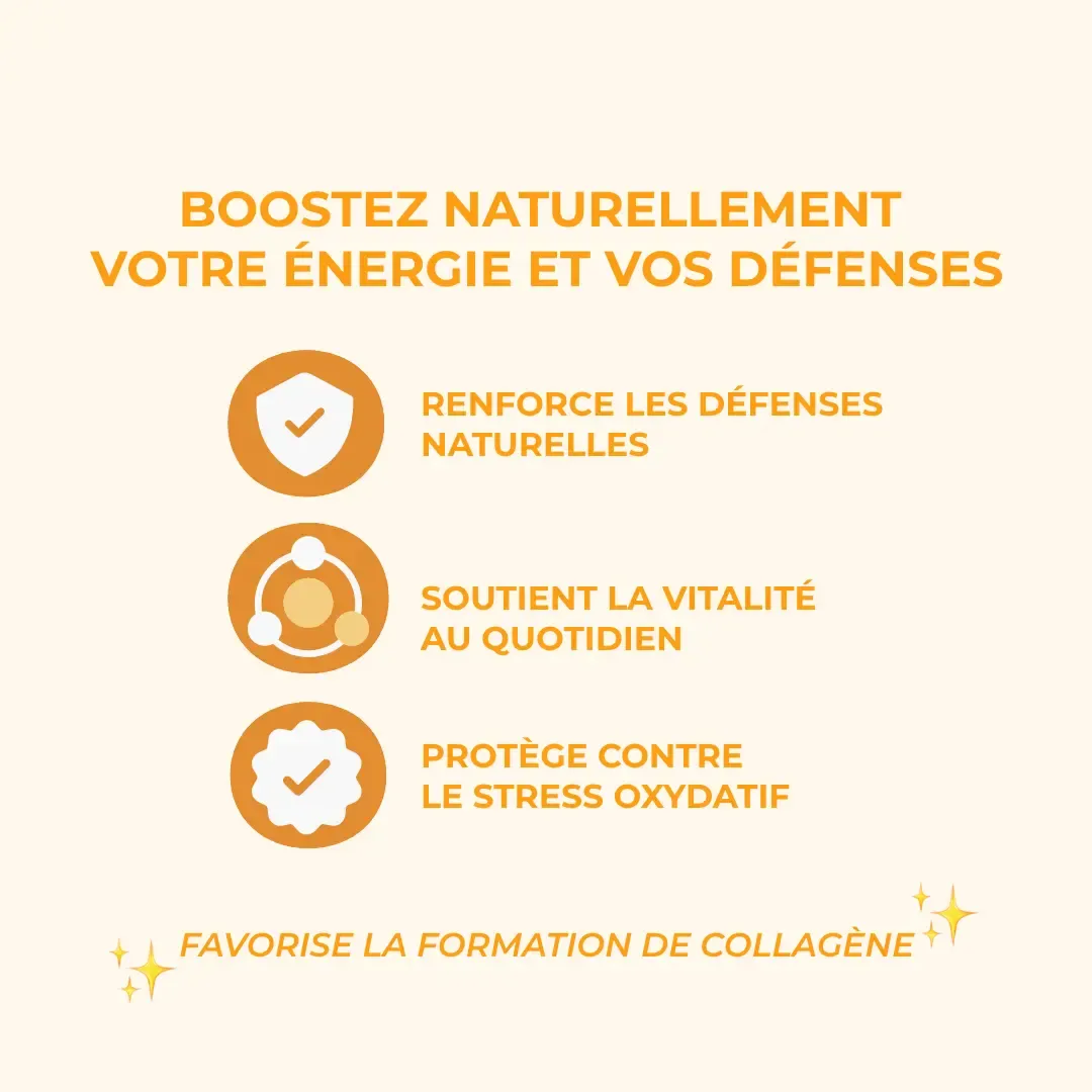 C+Form Vitamine C Liposomale 1000 mg - 60 gélules - Inolab – Image 2