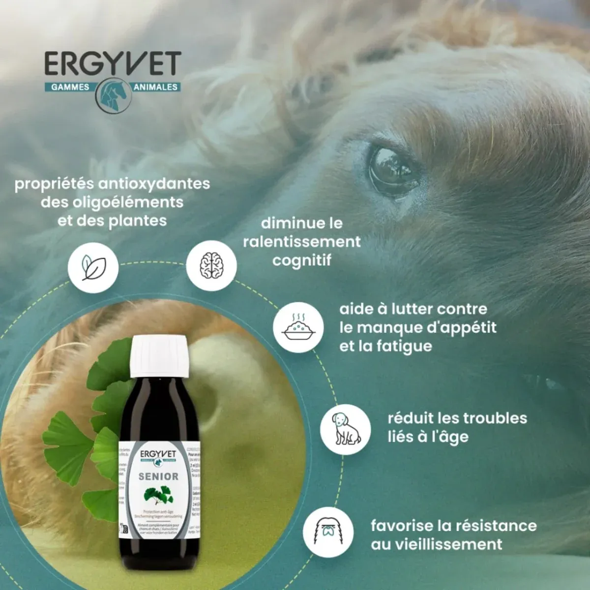 Ergyvet Senior - Protection Anti-âge - Chien et Chat - 100 ml – Image 2