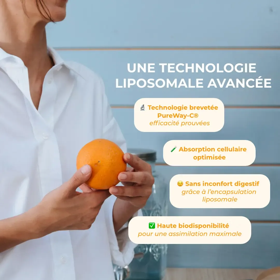 C+Form Vitamine C Liposomale 1000 mg - 60 gélules - Inolab – Image 4